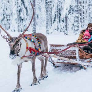visit-rovaniemi-getting-here-family-reindeer-grid-image-1110x600